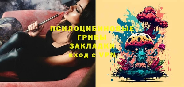 ГАЛЛЮЦИНОГЕННЫЕ ГРИБЫ Абинск