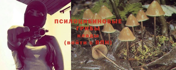 не бодяженный Абаза