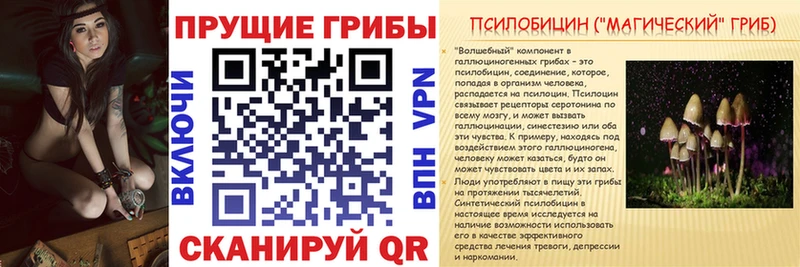 Псилоцибиновые грибы мицелий  Барыш 
